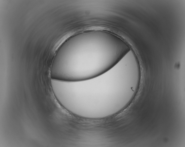 X0000110951193200906191107