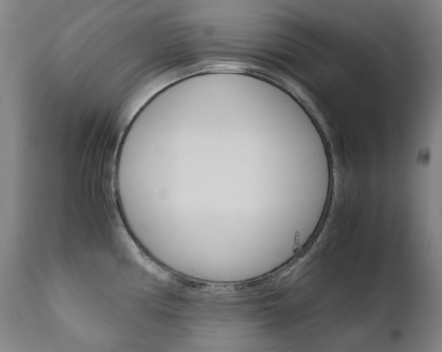 X0000110951194200906191107