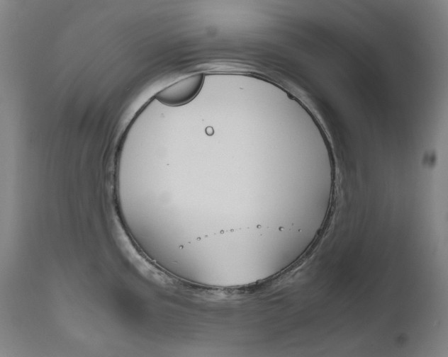 X0000110951195200906191107