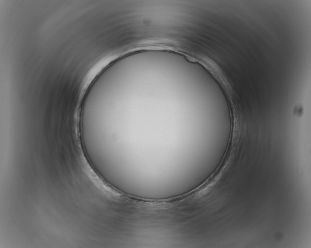 X0000110951196200906191107