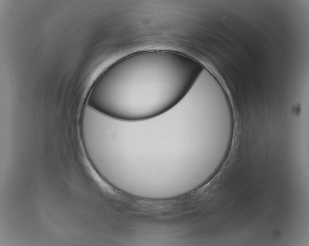 X0000110951197200906191107