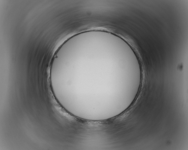 X0000110951198200906191107