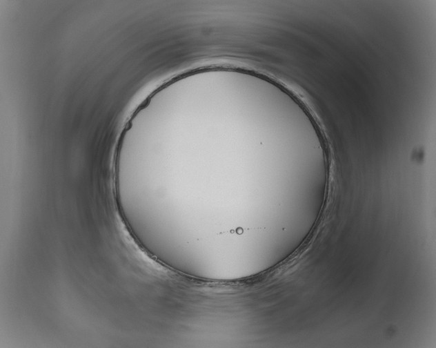 X0000110951199200906191107