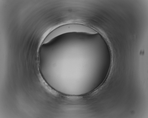 X0000110951200200906191107