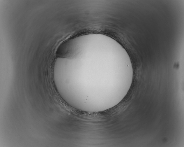 X0000110951201200906191106