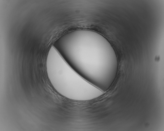 X0000110951202200906191107