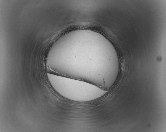 X0000110951204200906191107