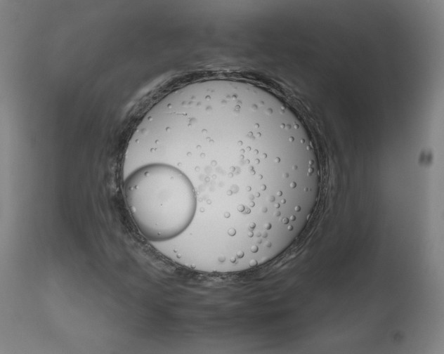 X0000110951205200906191107