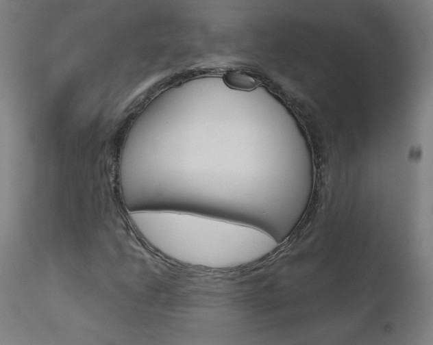 X0000110951206200906191107