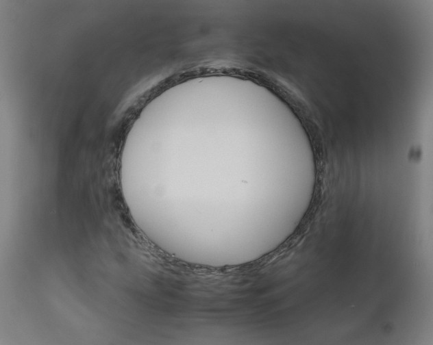 X0000110951207200906191107