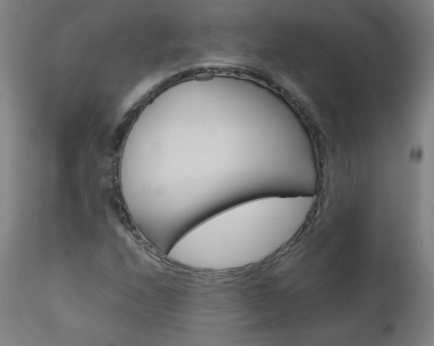 X0000110951208200906191107