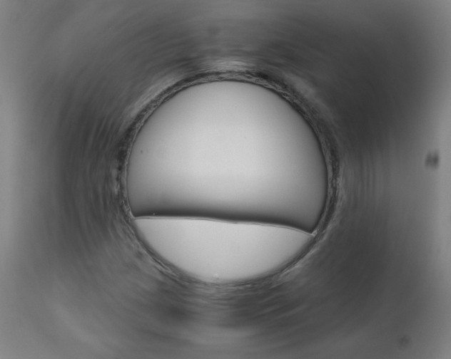 X0000110951209200906191107