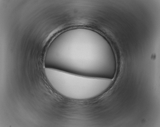 X0000110951210200906191107