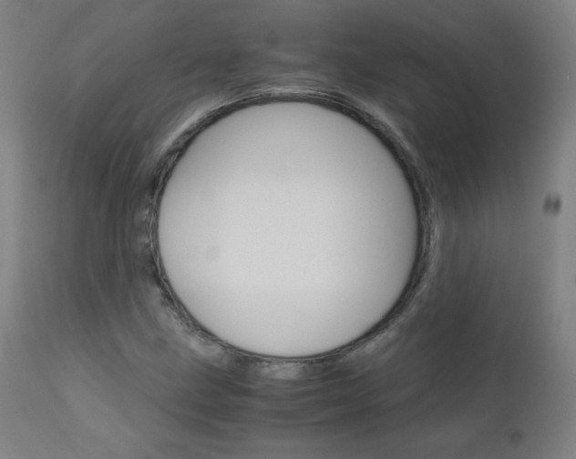 X0000110951211200906191107