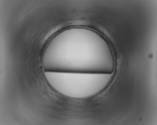 X0000110951213200906191107