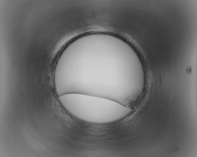 X0000110951215200906191107