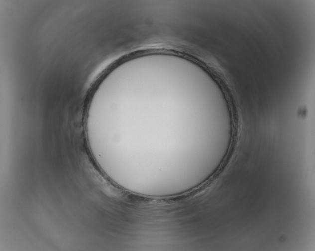 X0000110951216200906191107