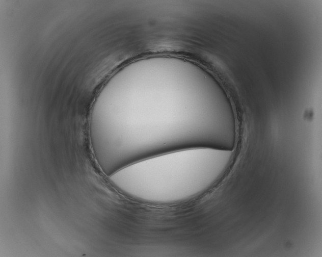X0000110951217200906191107