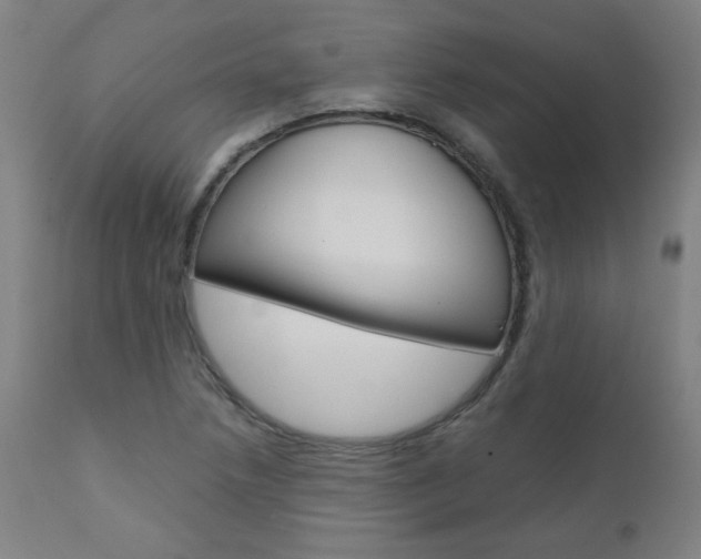 X0000110951218200906191107