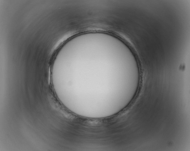 X0000110951219200906191107