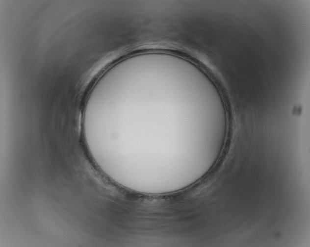 X0000110951221200906191107