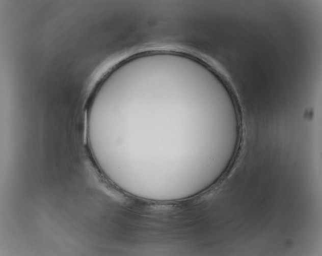 X0000110951223200906191107