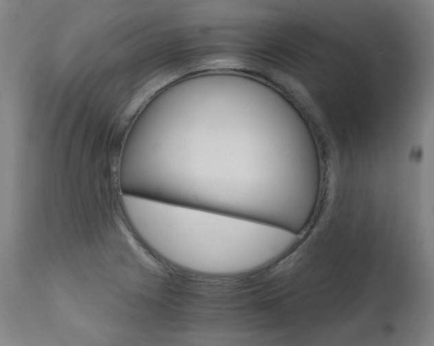 X0000110951225200906191107