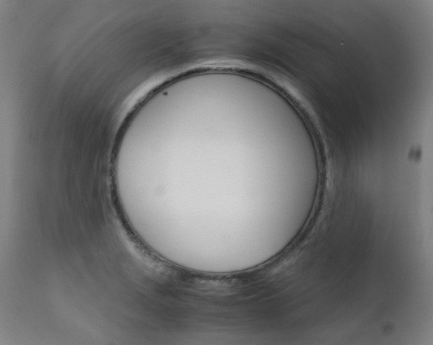 X0000110951229200906191107