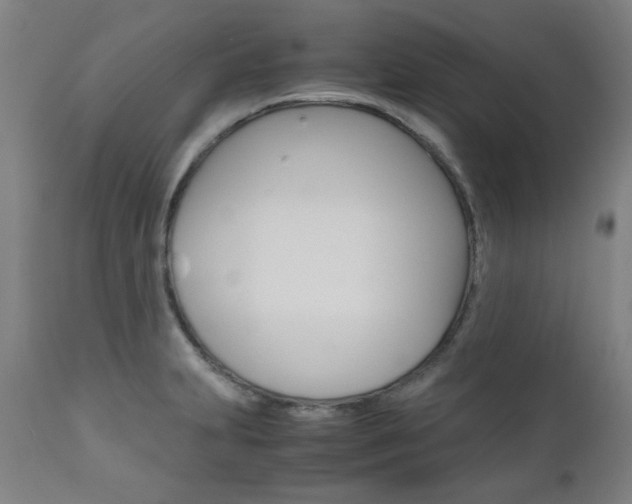 X0000110951231200906191107