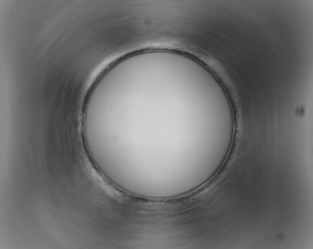X0000110951232200906191107