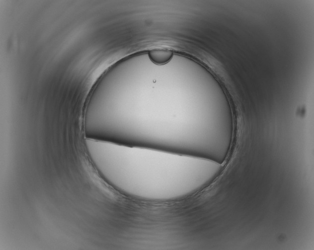 X0000110951234200906191107