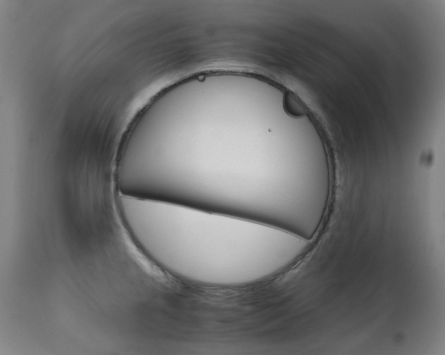 X0000110951237200906191107
