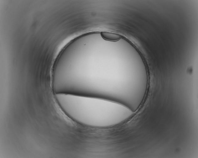 X0000110951238200906191107