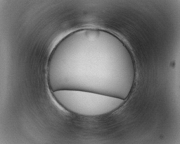 X0000110951239200906191107