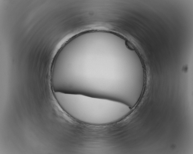 X0000110951240200906191107