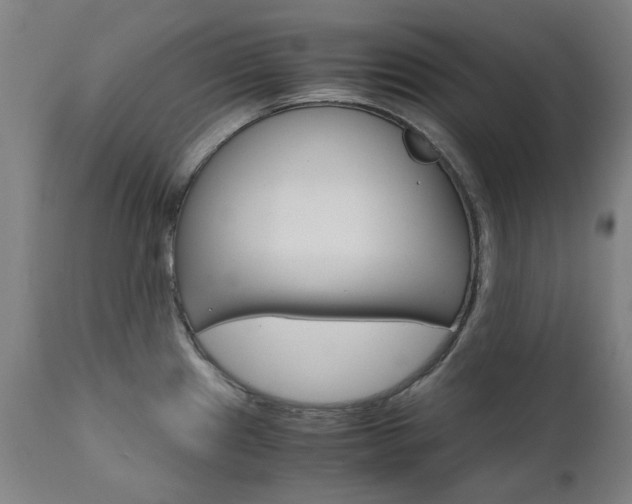 X0000110951241200906191107