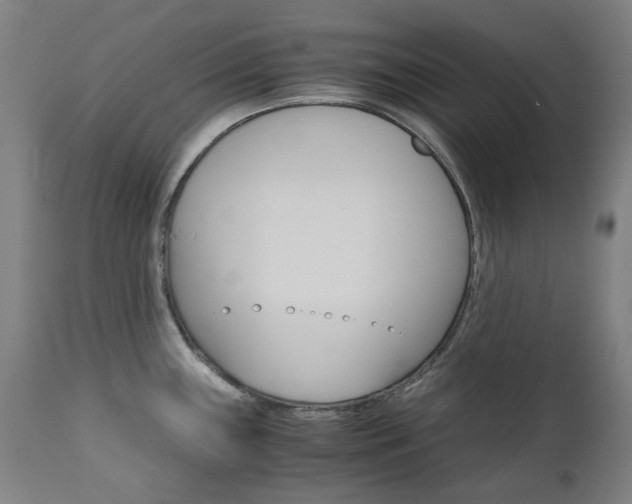 X0000110951243200906191107