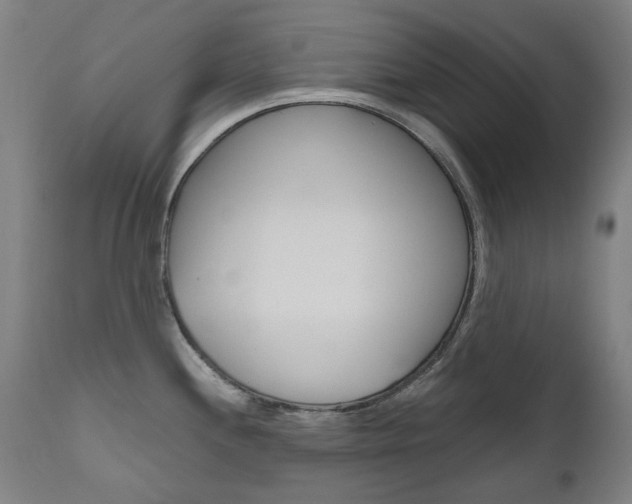 X0000110951244200906191107