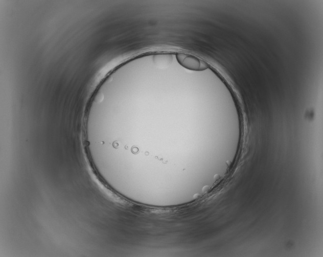 X0000110951245200906191107
