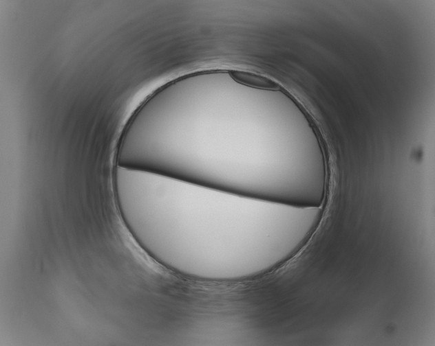 X0000110951246200906191107