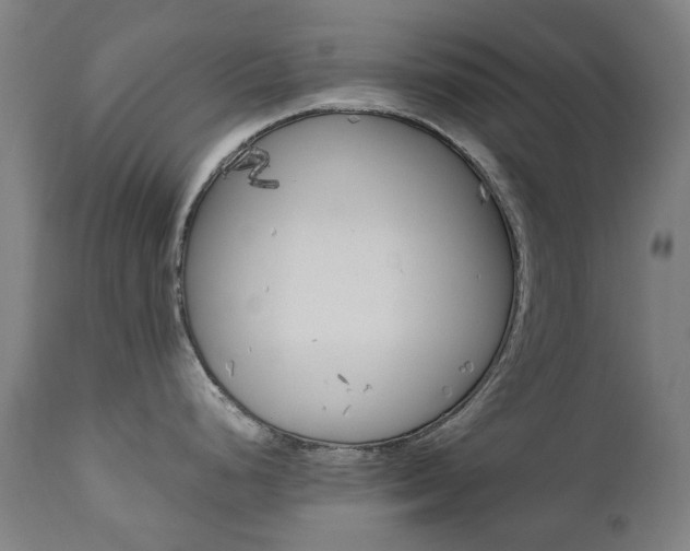 X0000110951248200906191107