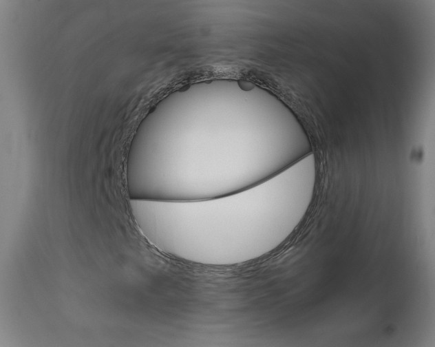 X0000110951249200906191106
