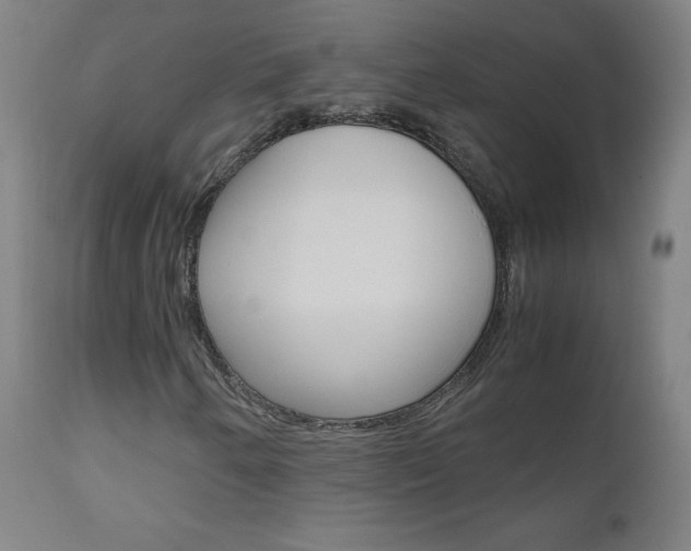 X0000110951250200906191106