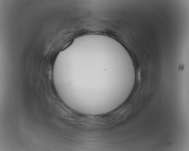 X0000110951251200906191106