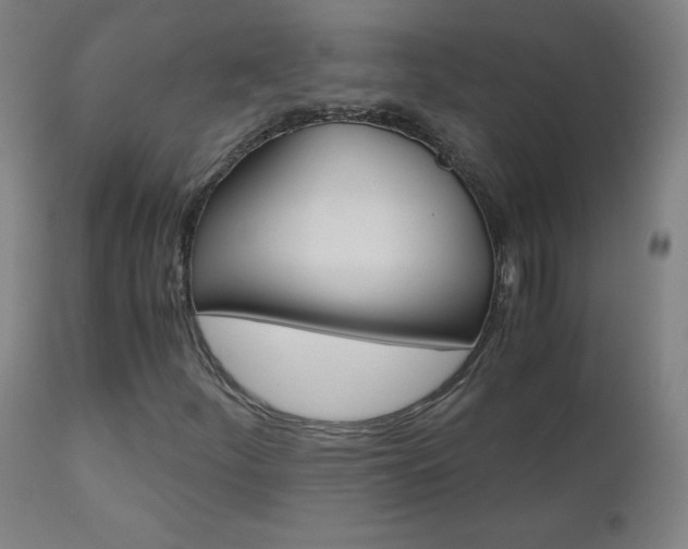 X0000110951252200906191106