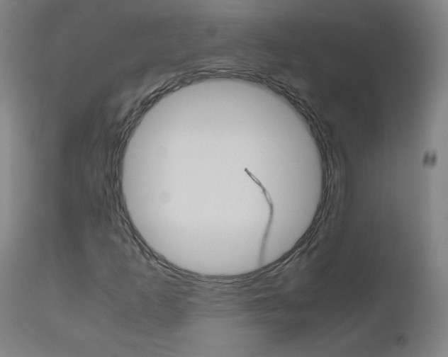 X0000110951253200906191106
