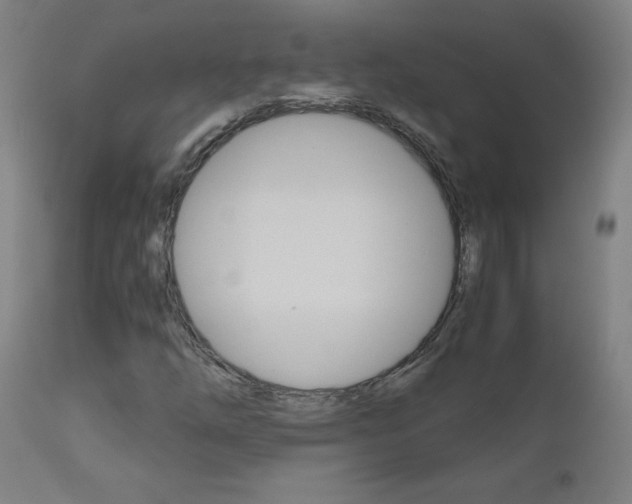 X0000110951254200906191106
