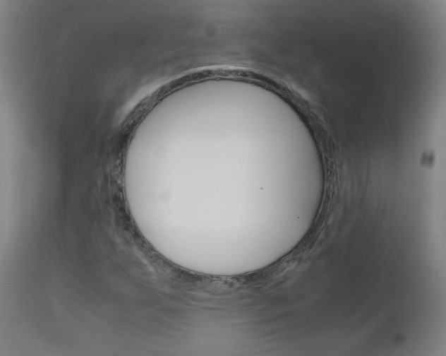 X0000110951255200906191106