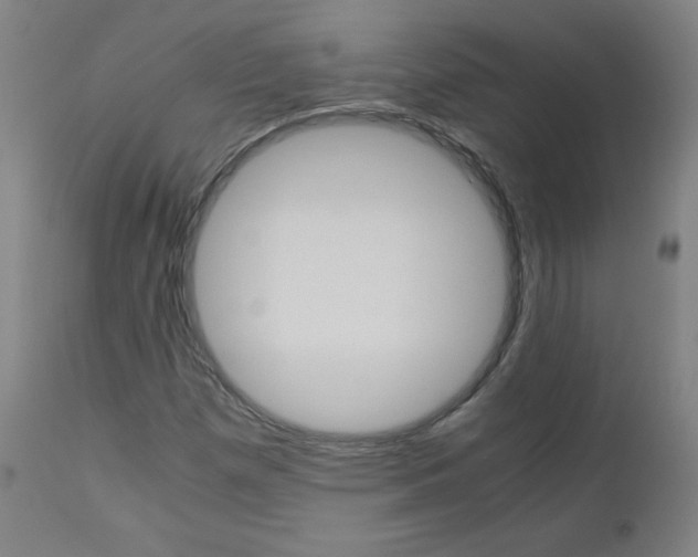 X0000110951257200906191106