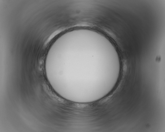 X0000110951258200906191106